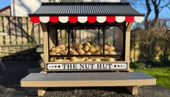 The Nut Hut, Кормушка для белок
