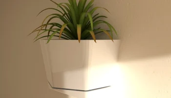 Wall Vase