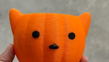 Контейнер для тыквы-кошки 1