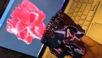 Серия "Король черепа" нежити _ Skull-Bowl -3D Модель 2