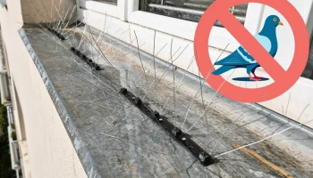 Проводное основание с защитой от птичьих шипов (подходит ...