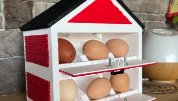 (12 яиц) Настольный держатель для яиц для курятника 3