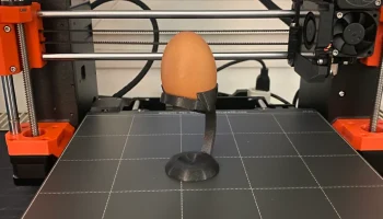 Egg Holder 1