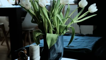 Vase V3
