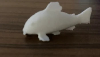 Магнит Cory Catfish 5