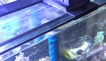 Крепление для автоподатчика Eheim с NoriStick