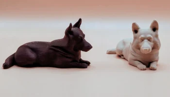 Корги собака Корги собака