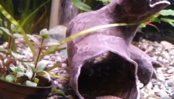 Украшение для аквариума - пещера с ветвящимися палками с ... 1