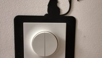 Внутренняя подсветка Cat Cache.