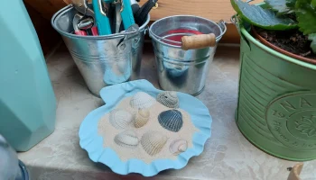 Блюдо из ракушек с плоским дном 2