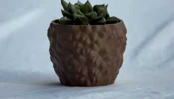 Lasse pot 1