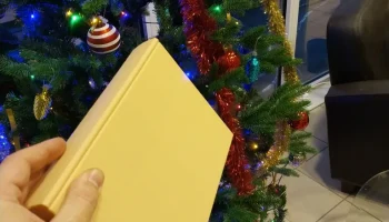 Вставка для книжной полки - Волшебная книга 2