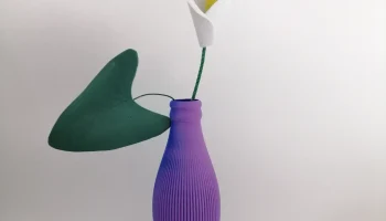Ваза 3D кола 1