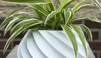 twist vase