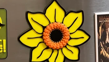 Sun Flower
