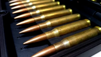 Кейс для боеприпасов .308 8