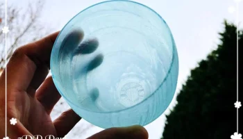 Glass 1