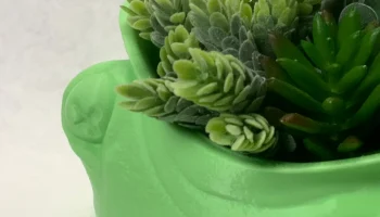Контейнер или горшок для лягушки с широким горлышком........ 6