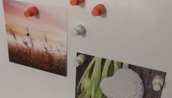 Magnet Pin