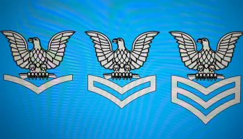 ВМС США - старшины - 3-го, 2-го, 1-го класса...... 1