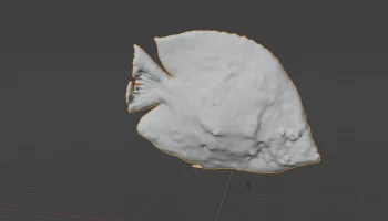 Fish 2 Fish 2