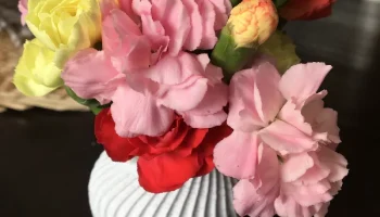 Ваза Вагелетта Ваза Вагелетта