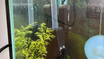 Игровой домик для водных кормушек 1