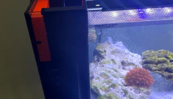 Fluval EVO 13.5 - Настольный УФ-стерилизатор Auqa Shield... Fluval EVO 13.5 - Настольный УФ-стерилизатор Auqa Shield...