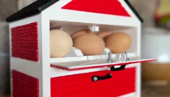 (12 яиц) Настольный держатель для яиц для курятника
