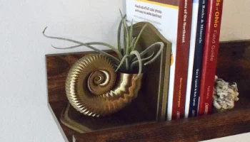 Аммонитовый ископаемый подставка для книг и плантатор...... 4