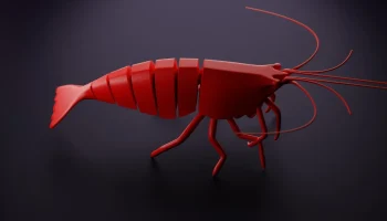 3D модель подвижной креветки
