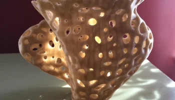 Ваза Voronoi Spline Twist