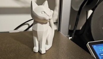 Little Cat 1