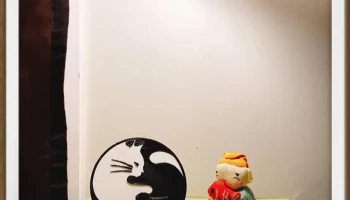 Тай Чи Кот (с держателем) Тай Чи Кот 5