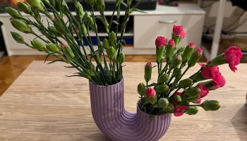 Двойная ваза одна