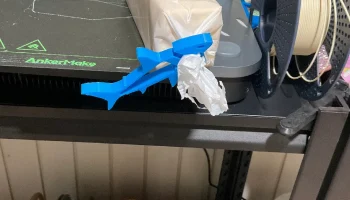 Shark clip 1
