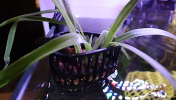 Подвесное кашпо для аквариума - HiveFloraV4... 2