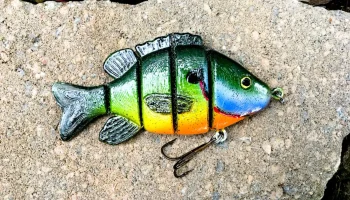 Приманка для плавания Sun Fish