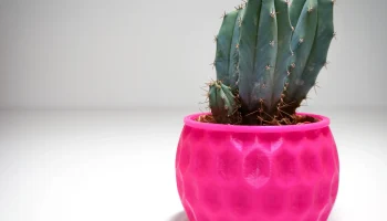 HIVE VASE