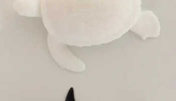 косатка 2