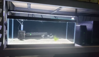 NICREW ClassicLED G2 крепление для полки NICREW ClassicLED G2 крепление для полки