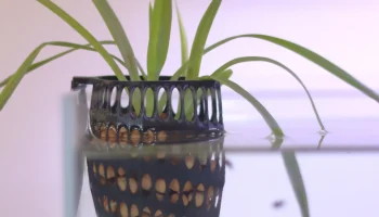 Подвесное кашпо для аквариума - HiveFloraV4... 1