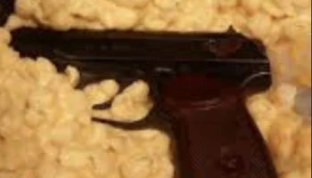 Airsoft Dart (патроны Muzzel или Breach Action) 1