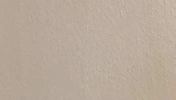 Wall Hook 2