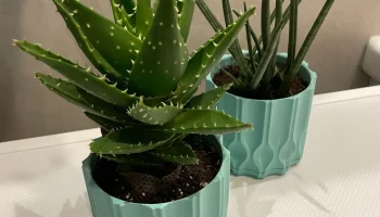 кашпо WAVE ALOE 1