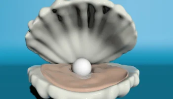 Shell 4