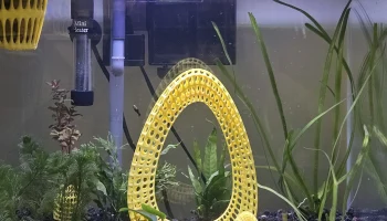 HiveEGG PortalV1 (Арка для аквариума/домашнего декора) HiveEGG PortalV1 (Арка для аквариума/домашнего декора)