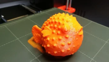 Blowfish 1