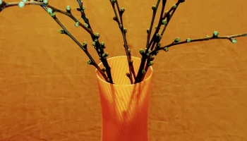 A Vase