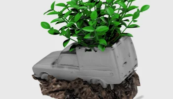 CAR VASE 1